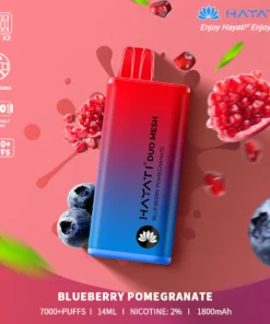 Hayati Duo Mesh 7000 Züge Einweg-Vape, 10er-Packung