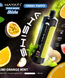 Hayati Shisha Einweg-E-Zigarette für 15.000 Züge (10er-Packung)