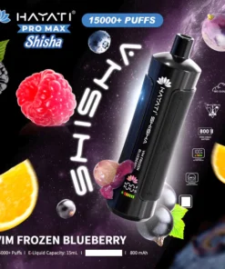 Hayati Shisha Einweg-E-Zigarette für 15.000 Züge (10er-Packung)