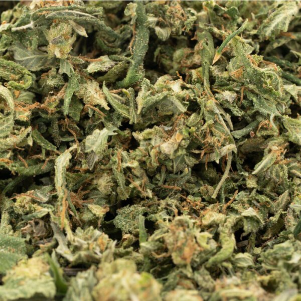 Hybrid AAA Cannabis Shake (28g Special)