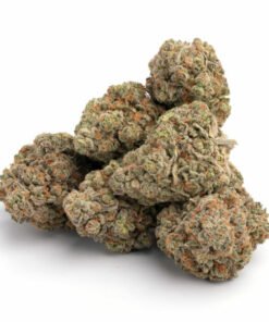 biscotti strain