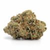 biscotti strain
