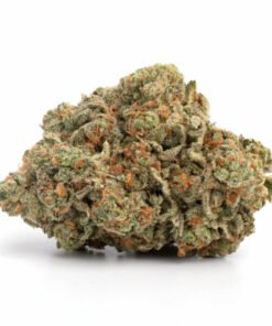 biscotti strain