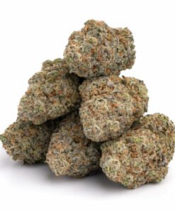 blue cheese strain