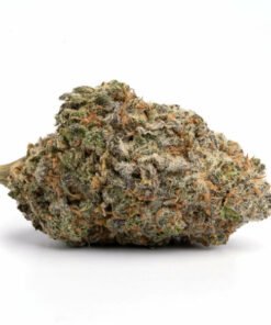 blue cheese strain