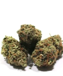 PREMIUM AAA BUD – 4 OZ –