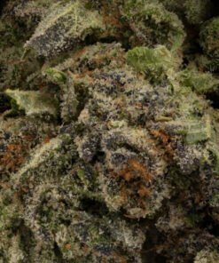 Forbidden Fruit