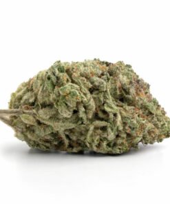 Forbidden Fruit