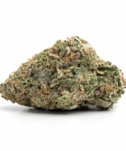 frosted fruit cake strain