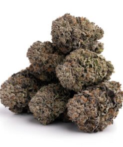 Grand Daddy Purple