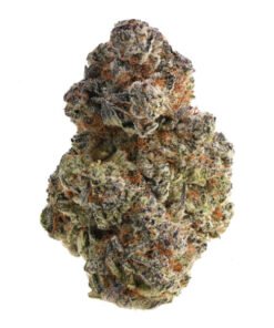 Hippy Crasher