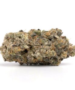 Lemon Cherry Gelato