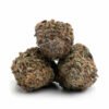 love potion #9 strain