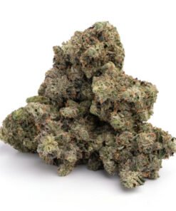 mk ultra strain