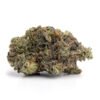 mk ultra strain