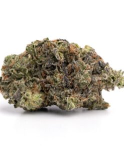 mk ultra strain