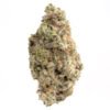 mac 10 strain