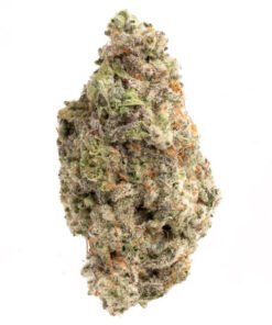 mac 10 strain