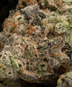 mac 10 strain
