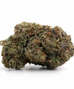 northern lights strain