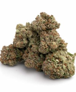 OG Shark