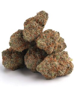 pink starburst strain