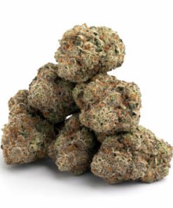 Purple Creamsicle