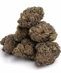 Purple Punch
