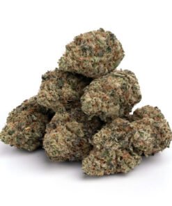 Snow Bunny strain