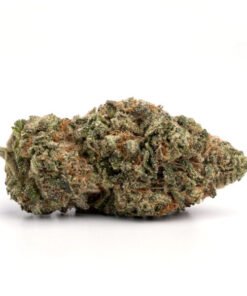 Snow Bunny strain