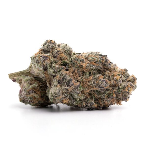 truffle sundae strain