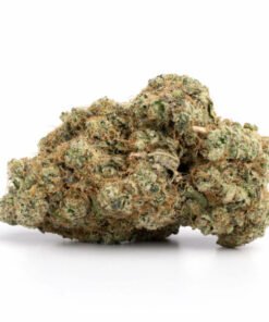 Violator Kush