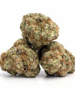Violator Kush