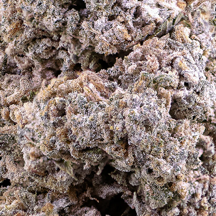 Jack Herer 25% THCA