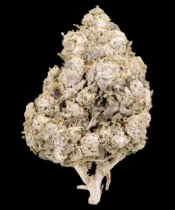 White Cali 23% THCA