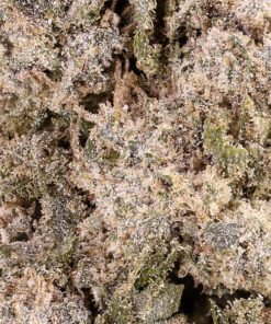 White Cali 23% THCA