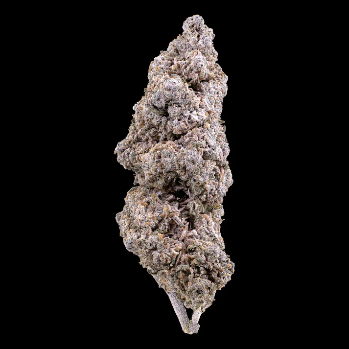 Jack Herer 25% THCA